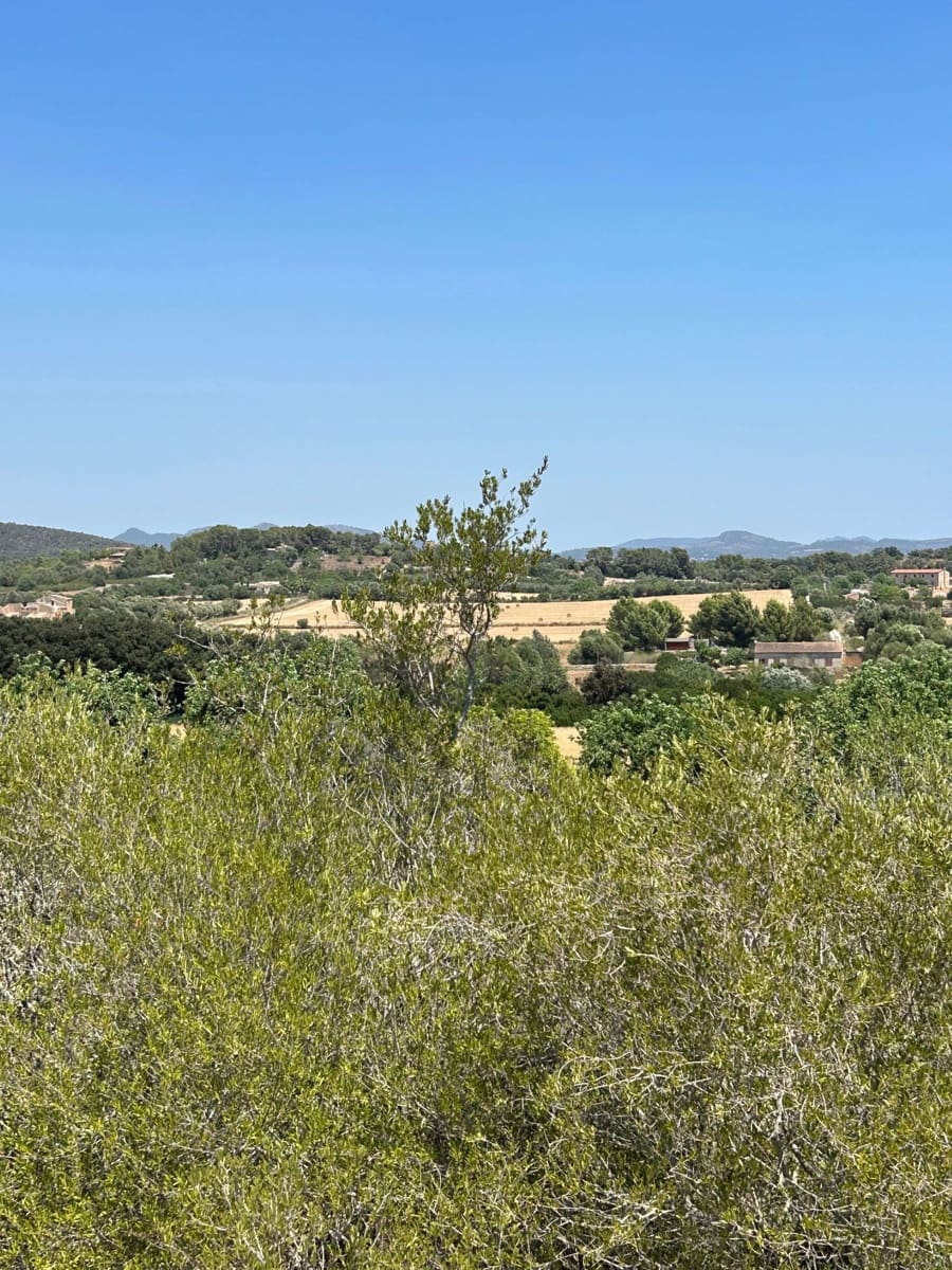 Landgrundstück zu verkaufen in Manacor - 220.000 € (Ref: 10076900)