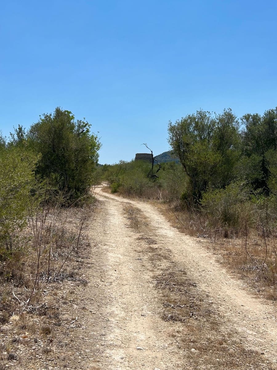 Landgrundstück zu verkaufen in Manacor - 220.000 € (Ref: 10076900)