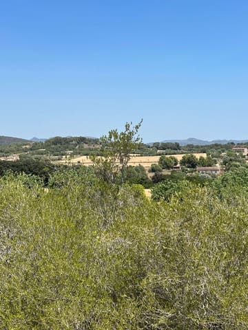 Terreno Não Urbanizado para venda em Manacor - 220 000 € (Ref: 10076900)