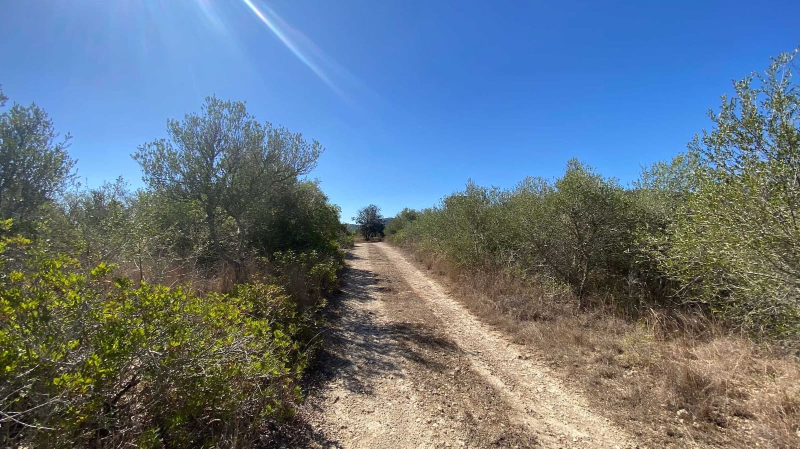 Landgrundstück zu verkaufen in Manacor - 220.000 € (Ref: 10076900)