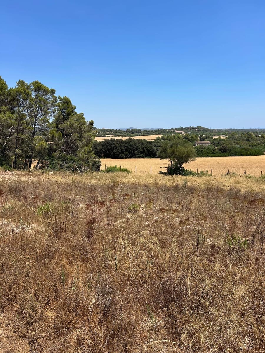 Landgrundstück zu verkaufen in Manacor - 220.000 € (Ref: 10076900)