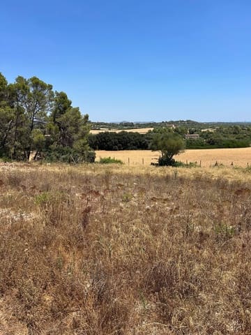 Terreno Não Urbanizado para venda em Manacor - 220 000 € (Ref: 10076900)