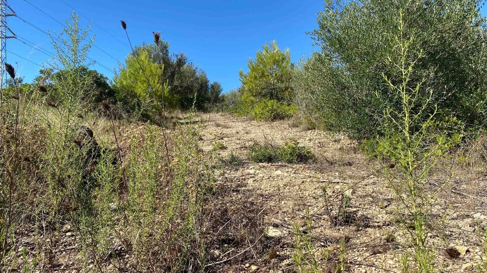 Landgrundstück zu verkaufen in Manacor - 220.000 € (Ref: 10076900)