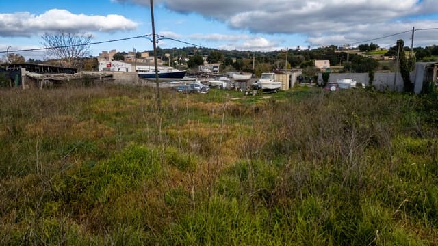 Undeveloped Land for rent in Felanitx - € 1,500 (Ref: 10106588)