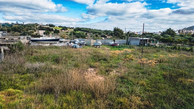 Undeveloped Land for rent in Felanitx - € 1,500 (Ref: 10106588)