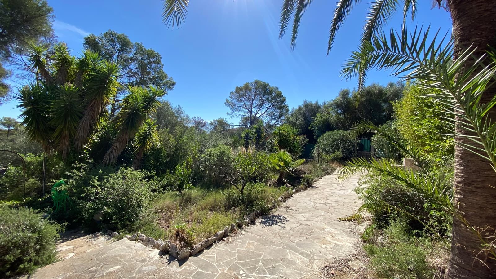 3 bedroom Finca/Country House for sale in Pina with pool - € 419,000 (Ref: 10132190)