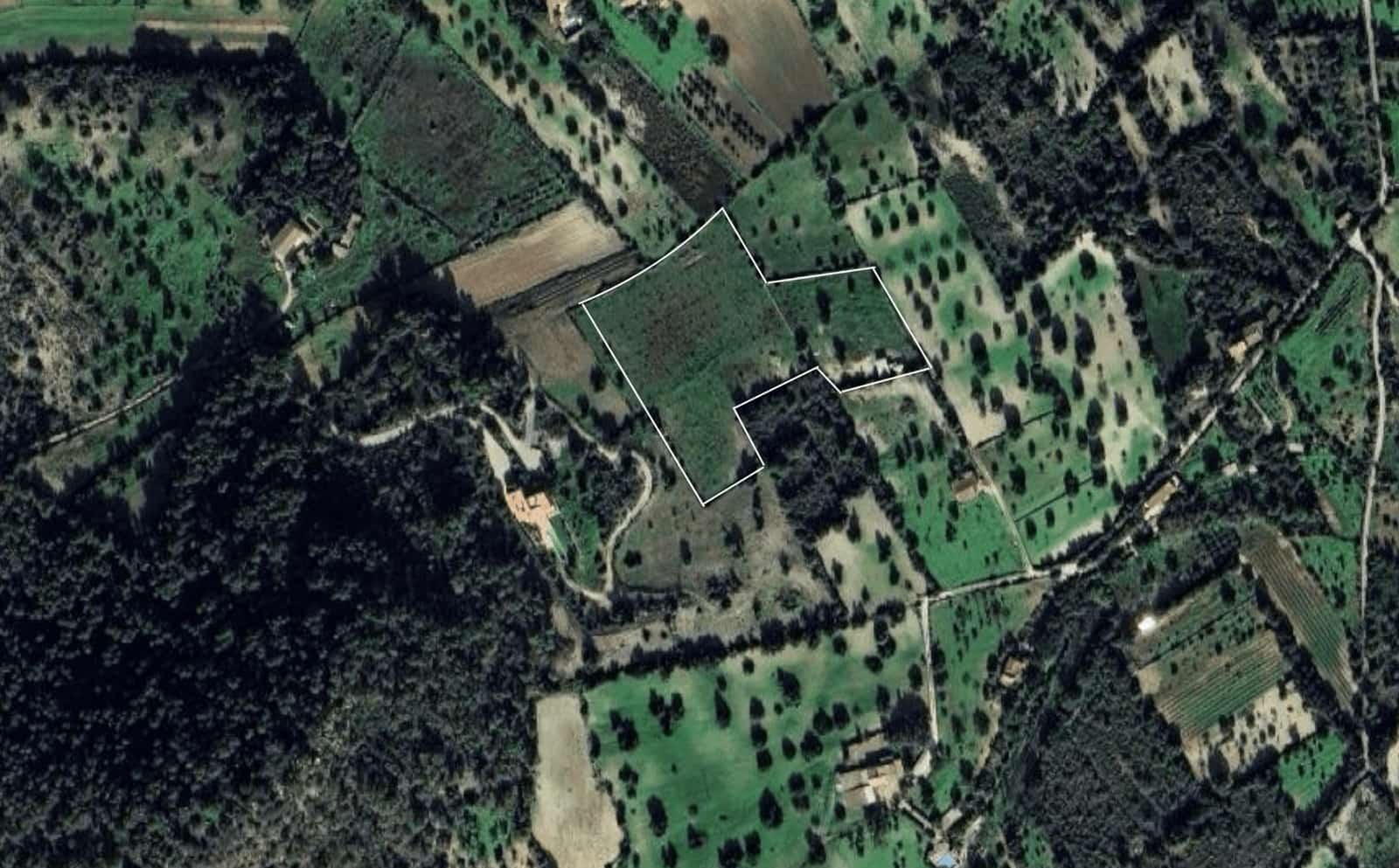 Terre non Aménagée à vendre à Felanitx - 450 000 € (Ref: 10154279)