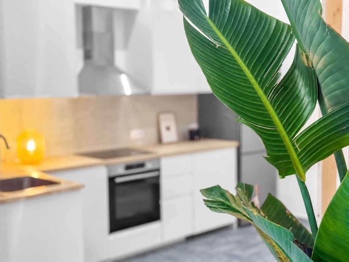 2 camera da letto Casa in vendita in Felanitx - 297.000 € (Rif: 10156873)
