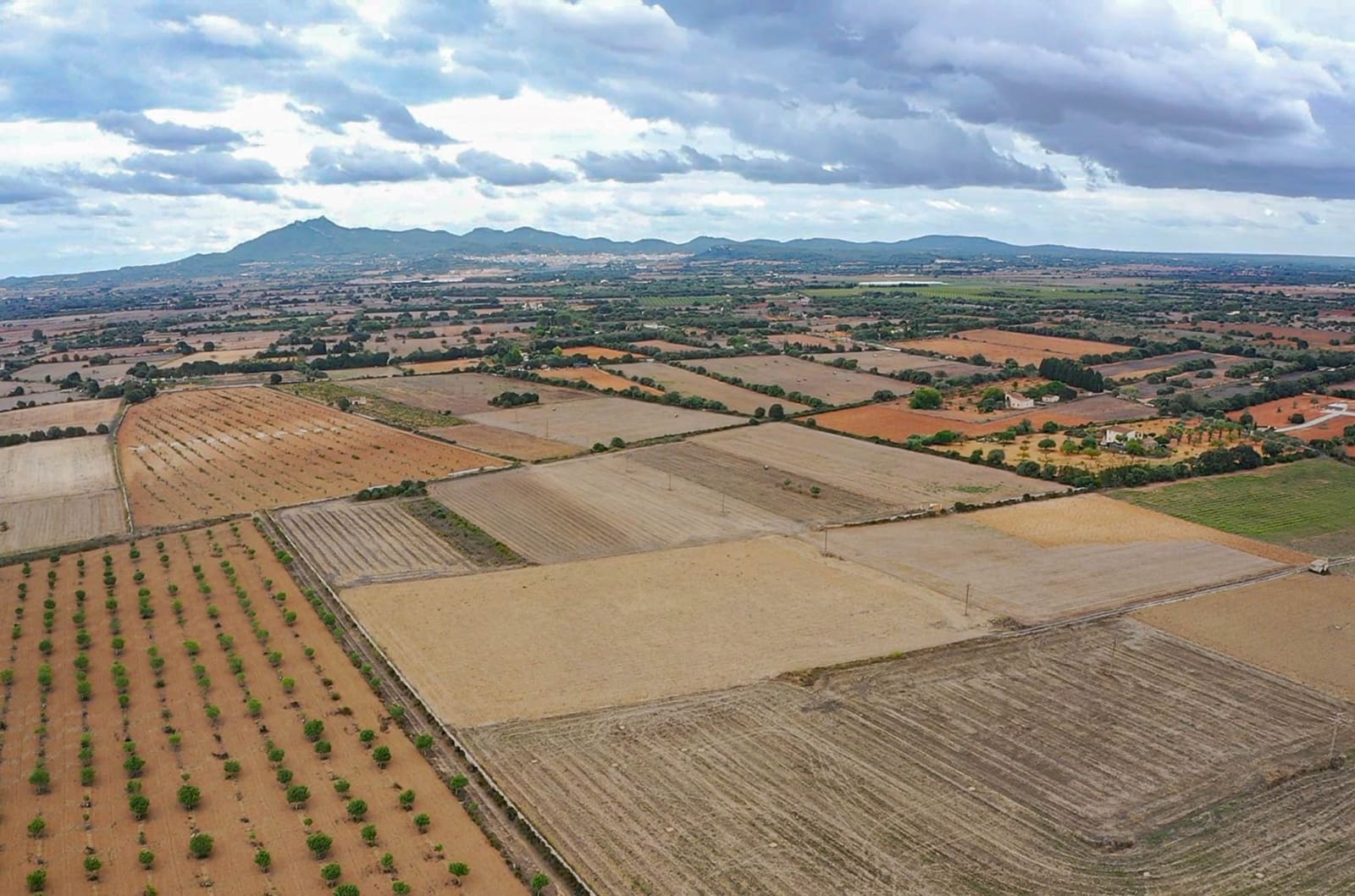 Rakentamaton maa myytävänä paikassa Felanitx - 190 000 € (Ref: 8523668)