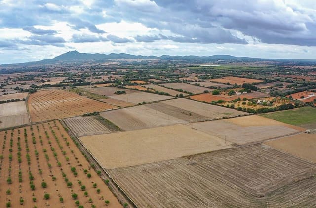 Terreno Não Urbanizado para venda em Felanitx - 190 000 € (Ref: 8523668)