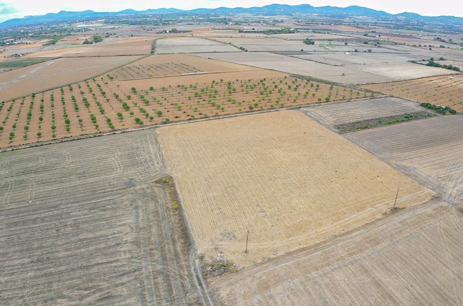 Rakentamaton maa myytävänä paikassa Felanitx - 190 000 € (Ref: 8523668)