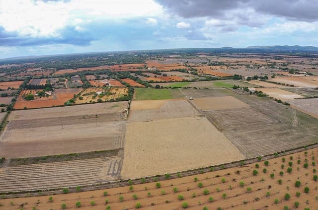 Terreno Não Urbanizado para venda em Felanitx - 190 000 € (Ref: 8523668)