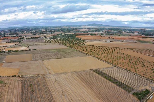 Terreno Não Urbanizado para venda em Felanitx - 190 000 € (Ref: 8523668)