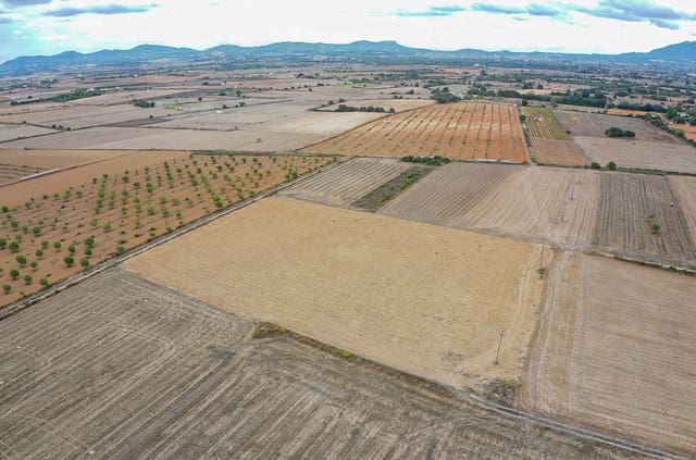 Terreno Não Urbanizado para venda em Felanitx - 190 000 € (Ref: 8523668)