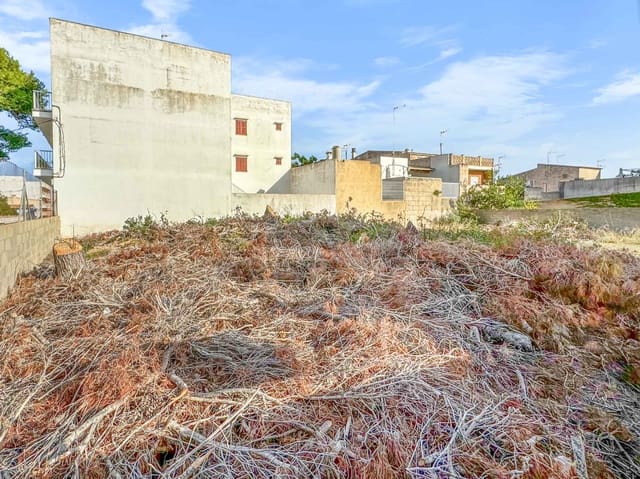 Rakentamaton maa myytävänä paikassa Manacor - 159 000 € (Ref: 8523670)