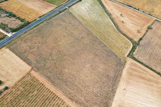 Teren niezagospodarowany na sprzedaż w Felanitx - 190 000 € (Ref: 8523753)