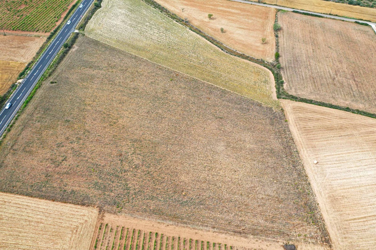 Ubebygd land til salgs i Felanitx - € 190 000 (Ref: 8523753)