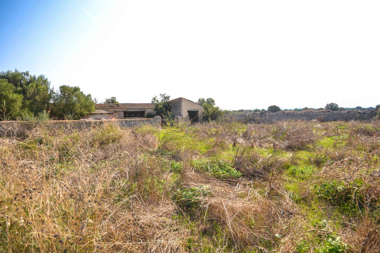 5 bedroom Finca/Country House for sale in Vilafranca de Bonany - € 2,250,000 (Ref: 8529981)