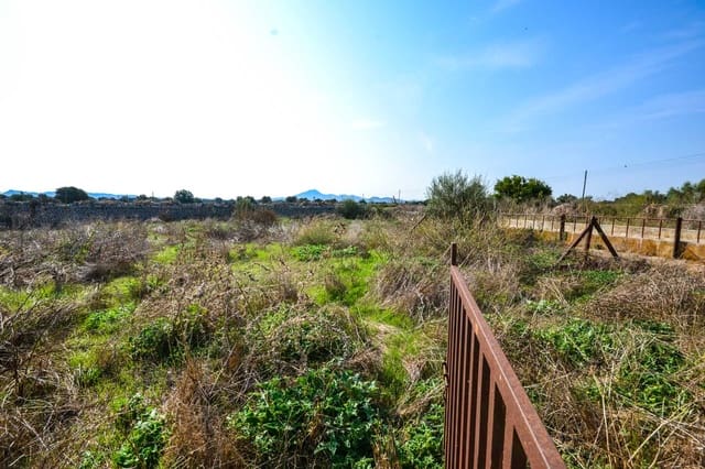 5 camera da letto Finca/Casa di Campagna in vendita in Vilafranca de Bonany - 2.250.000 € (Rif: 8529981)