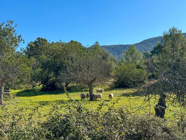 4 soveværelse Finca/Landehus til salg i Santa Ponsa, Calvià med swimmingpool garage - € 1.995.000 (Ref: 8529987)