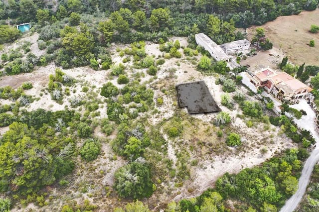 Terreno Não Urbanizado para venda em Felanitx - 295 000 € (Ref: 8529997)