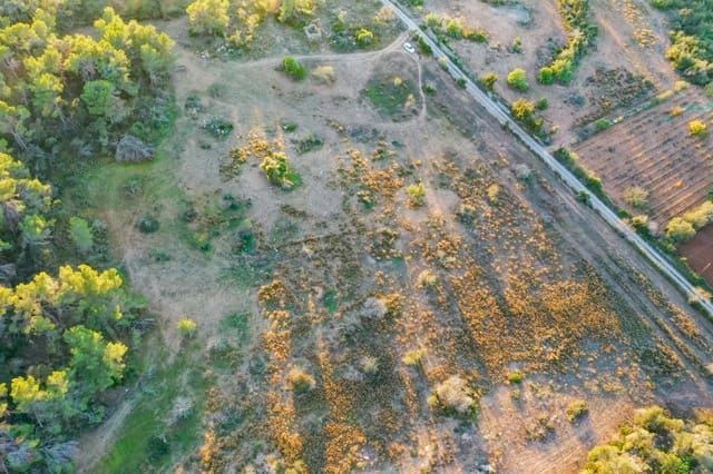 Terreno Não Urbanizado para venda em Felanitx - 590 000 € (Ref: 8530008)