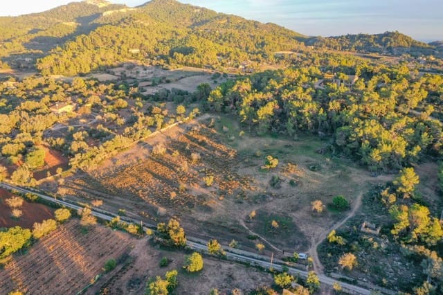 Terreno Não Urbanizado para venda em Felanitx - 590 000 € (Ref: 8530008)