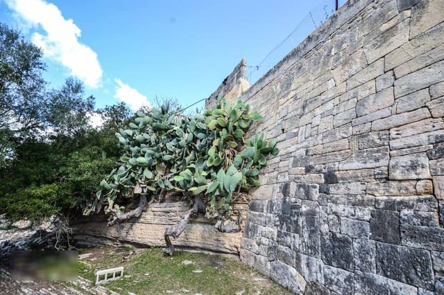 8 soverom Finca/Herregård til salgs i Porreres med garasje - € 5 500 000 (Ref: 8530046)