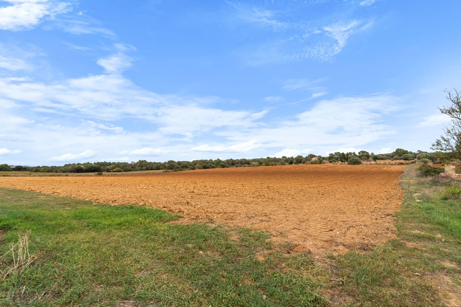 Finca/Casa Rural de 5 habitaciones en Felanitx en venta con garaje - 1.900.000 € (Ref: 8574229)