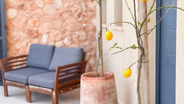 5 slaapkamer Finca/Landhuis te koop in Ses Salines met zwembad garage - € 3.600.000 (Ref: 8737401)