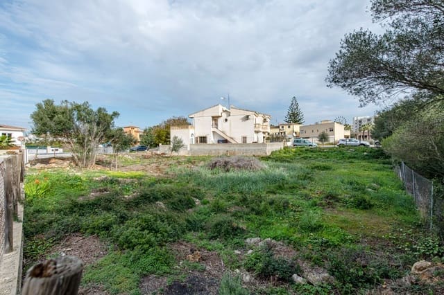 Undeveloped Land for sale in Portocristo / Port de Manacor, Manacor - € 160,000 (Ref: 8781299)