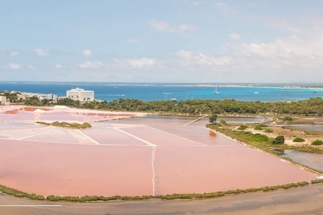 3 soveværelse Byhus til salg i Ses Salines med swimmingpool garage - € 2.300.000 (Ref: 8812876)