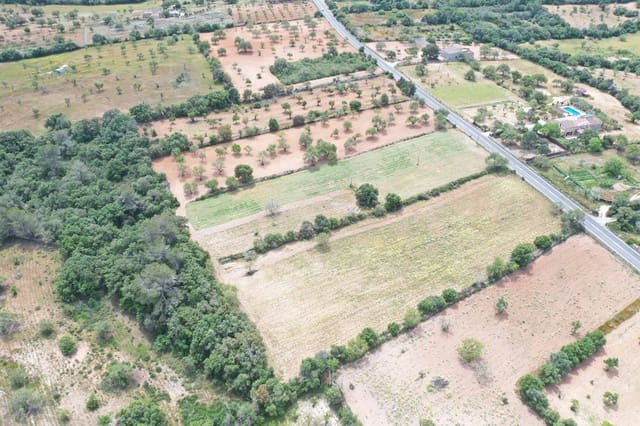 Terreno Não Urbanizado para venda em Felanitx - 300 000 € (Ref: 9034688)