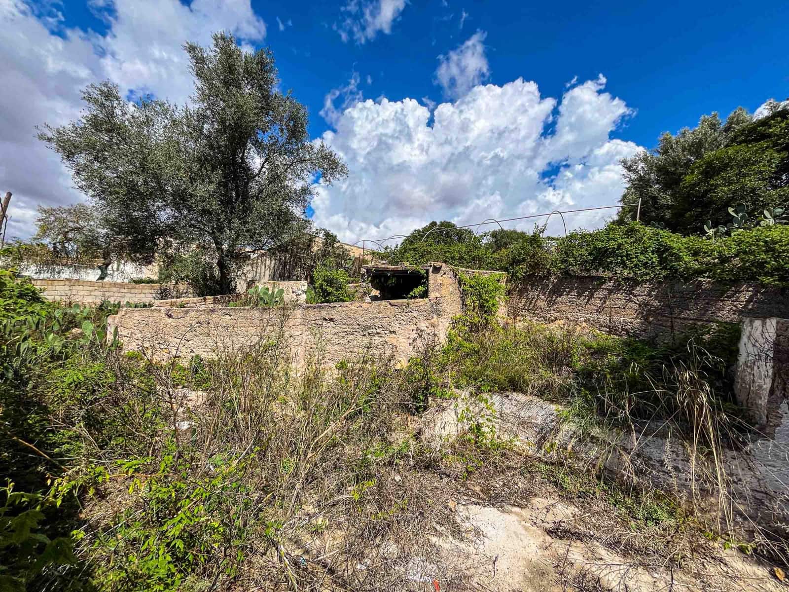 Terreno Non Edificato in vendita in Felanitx - 199.000 € (Rif: 9255142)