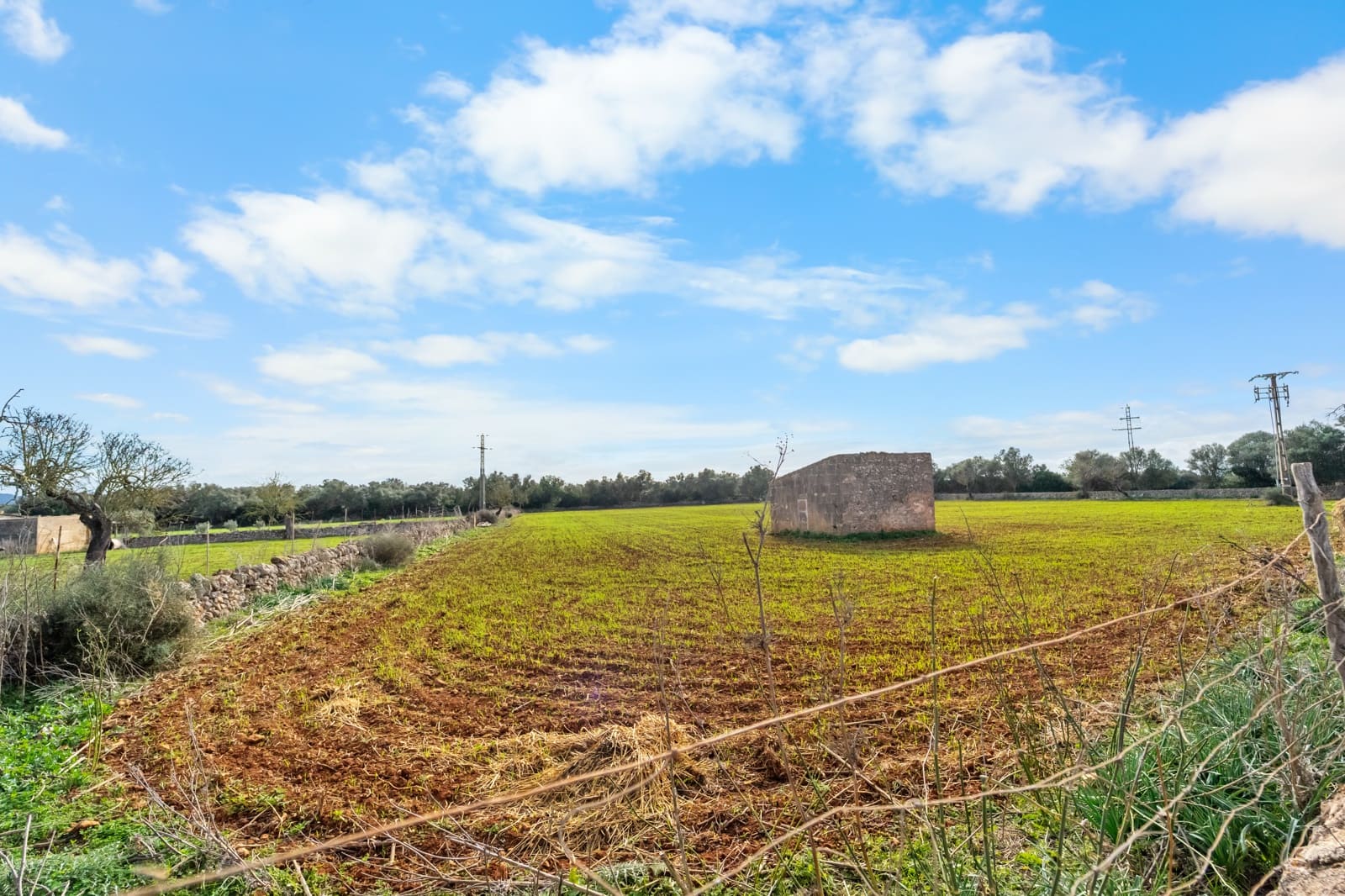 Mark till salu i Felanitx - 130 000 € (Ref: 9465404)