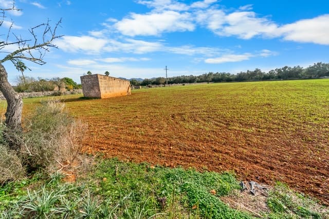 Mark till salu i Felanitx - 130 000 € (Ref: 9465404)