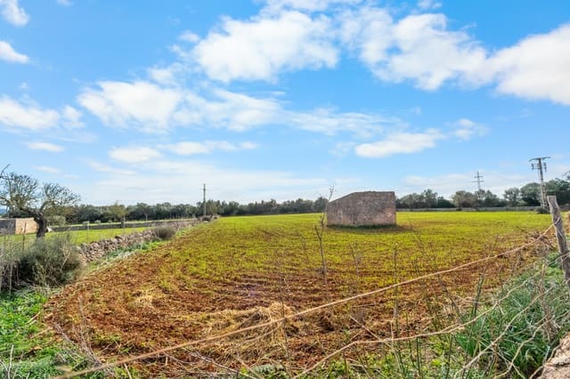 Mark till salu i Felanitx - 130 000 € (Ref: 9465404)