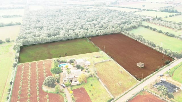 Grond te koop in Felanitx - € 130.000 (Ref: 9465404)