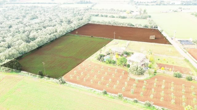 Grond te koop in Felanitx - € 130.000 (Ref: 9465404)