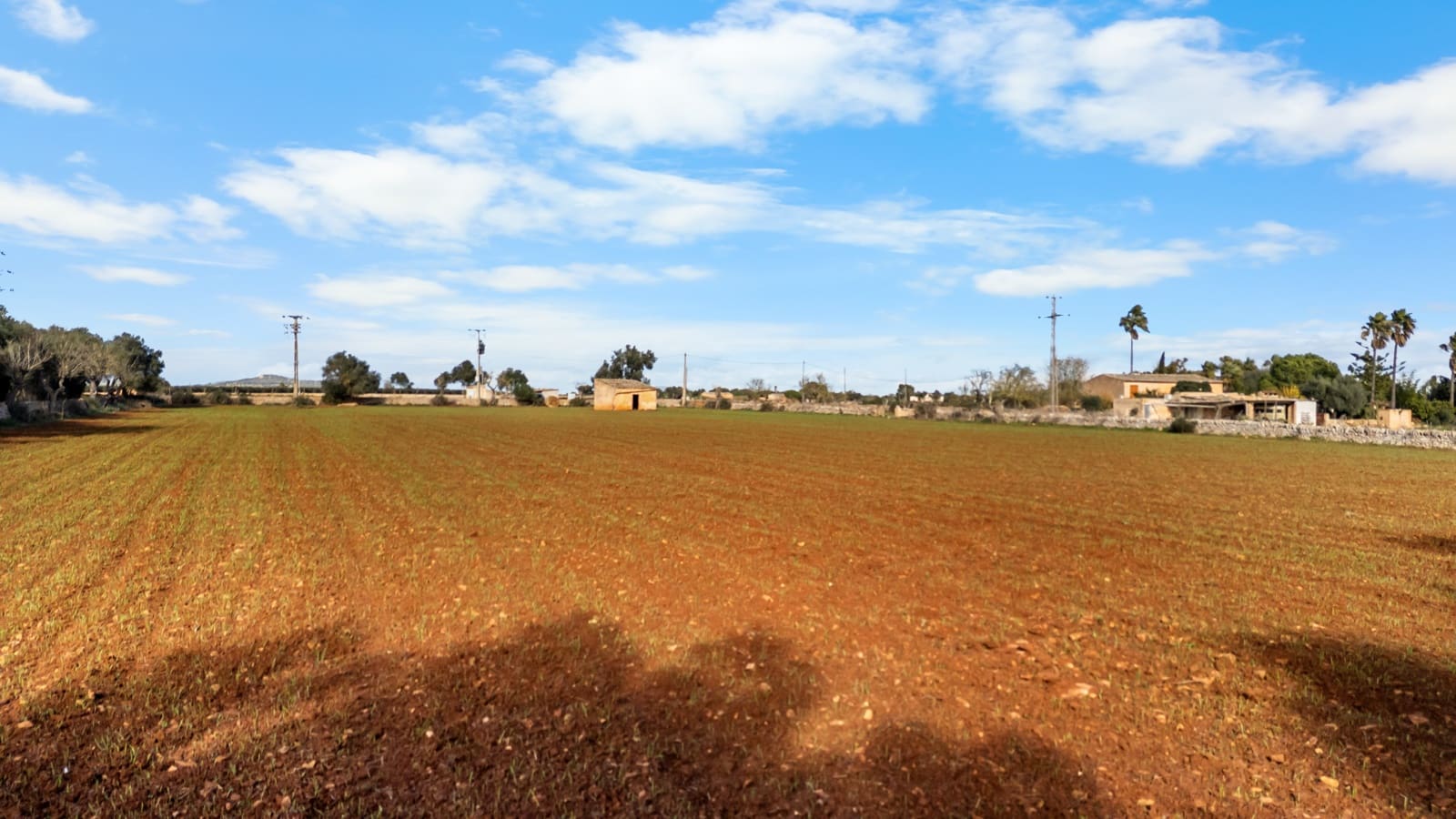 Mark till salu i Felanitx - 130 000 € (Ref: 9465404)