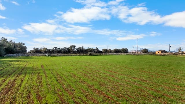 Grond te koop in Felanitx - € 130.000 (Ref: 9465404)