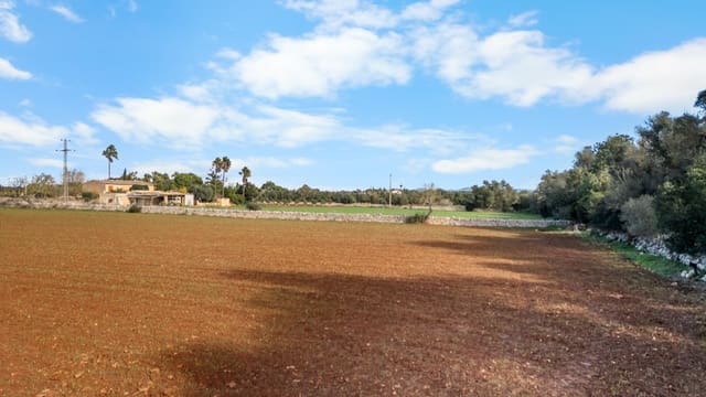 Mark till salu i Felanitx - 130 000 € (Ref: 9465404)