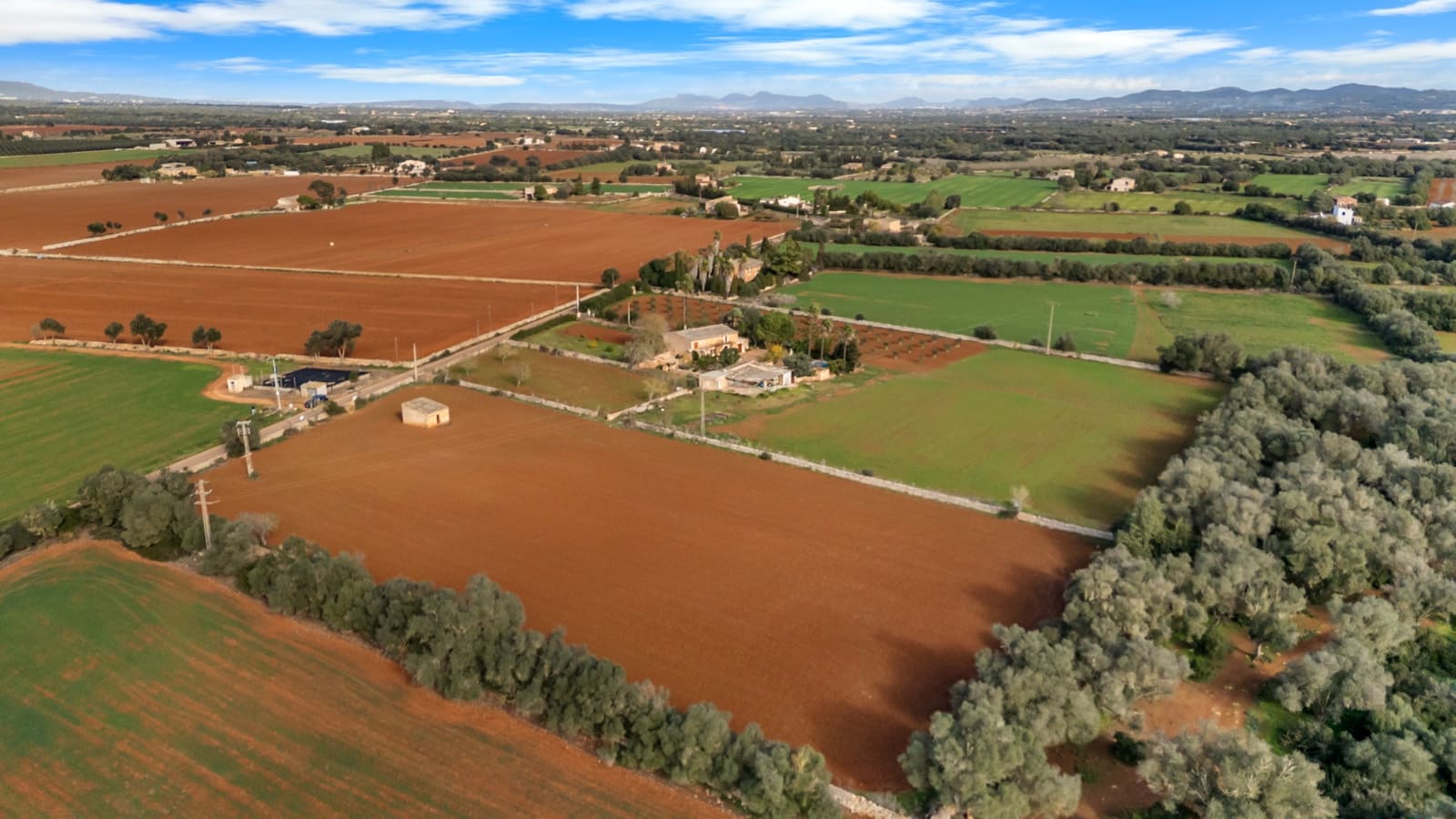 Mark till salu i Felanitx - 130 000 € (Ref: 9465404)