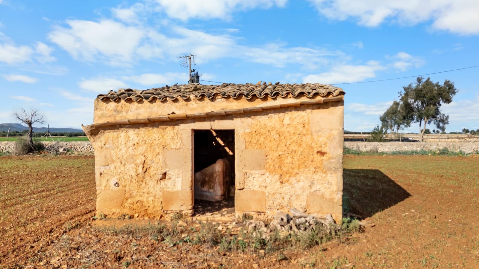 Mark till salu i Felanitx - 130 000 € (Ref: 9465404)