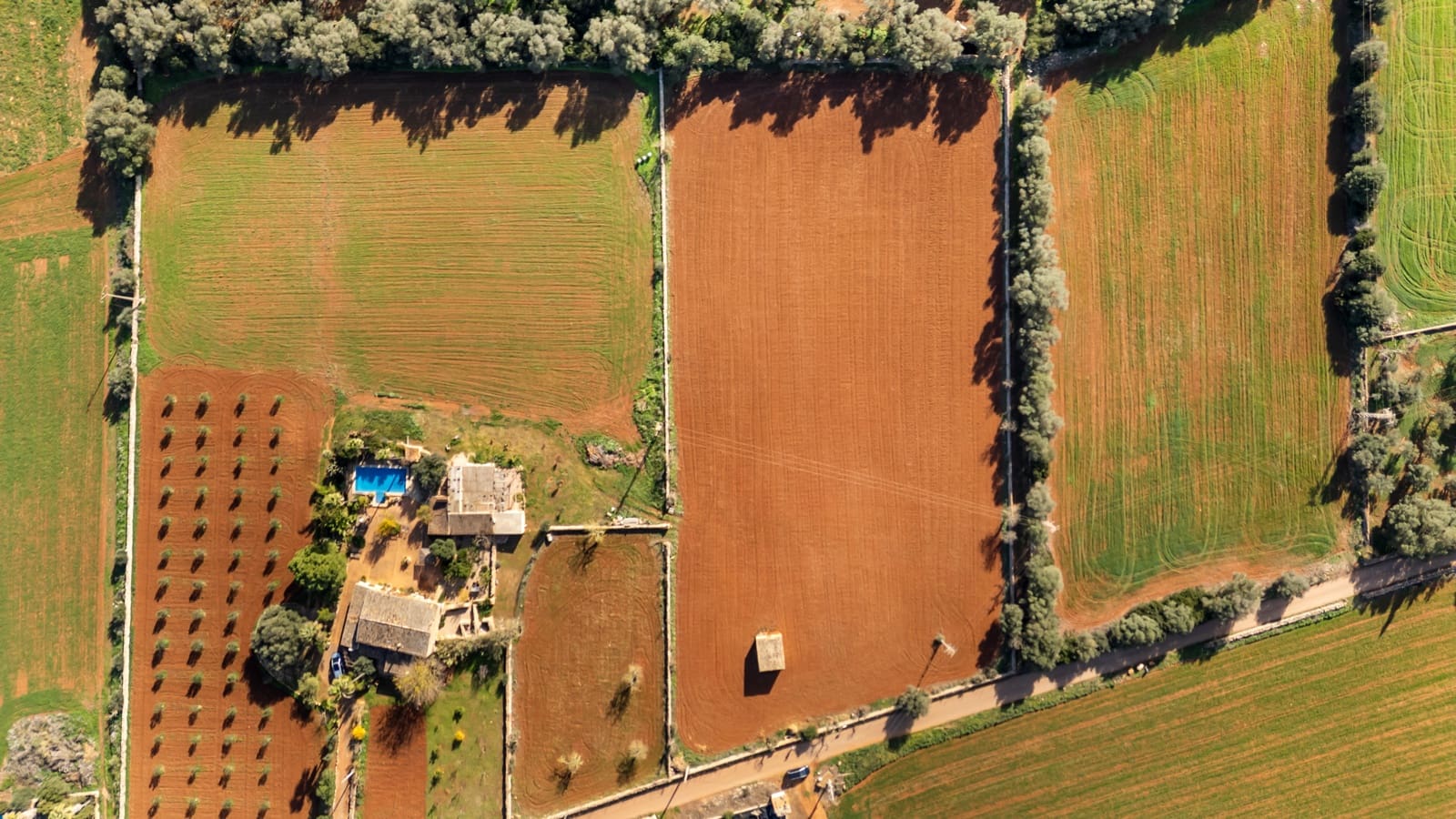 Mark till salu i Felanitx - 130 000 € (Ref: 9465404)