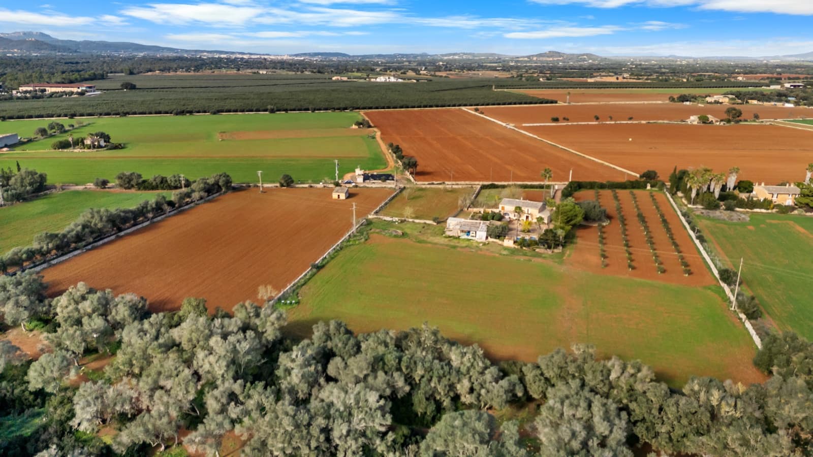 Mark till salu i Felanitx - 130 000 € (Ref: 9465404)