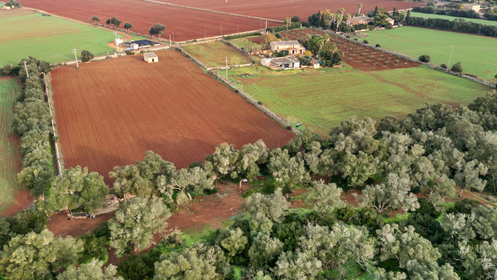 Mark till salu i Felanitx - 130 000 € (Ref: 9465404)