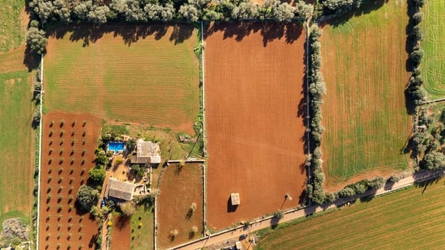 Grond te koop in Felanitx - € 130.000 (Ref: 9465404)