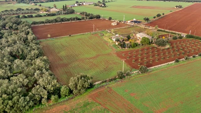 Grond te koop in Felanitx - € 130.000 (Ref: 9465404)