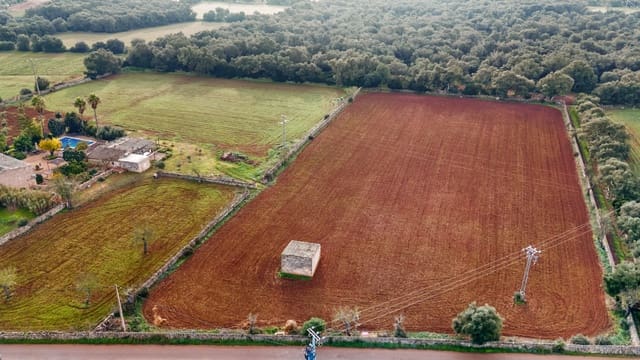 Grond te koop in Felanitx - € 130.000 (Ref: 9465404)